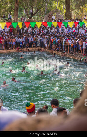 Timkat celebrazione presso Fasilides' vasca da bagno in Gondar Foto Stock