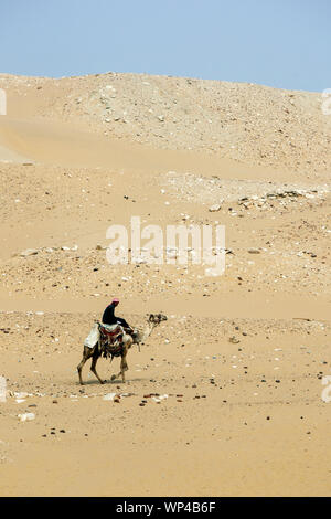 Un uomo che cavalca un cammello attraverso una sezione lapidei del deserto del Sahara vicino a Saqqara nel nord dell'Egitto. Foto Stock