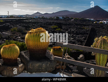 Lanzarote, Spagna Ottobre 15 2018: vista dalla terrazza di un recente nero campo di lava e Vulcano con cactus, presso il Cesar Manrique Foundation, home Foto Stock