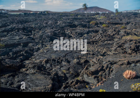 Lanzarote, Spagna Ottobre 15 2018: vista attraverso una finestra, di un recente nero campo di lava e Vulcano con cactus, presso il Cesar Manrique Foundation, hom Foto Stock