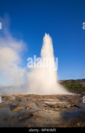 Eruzione del geyser Geysir. Haukadalur Valley, Islanda. Golden Ring attrazione turistica Foto Stock