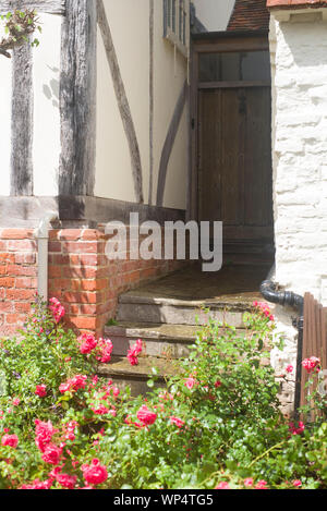 Rose che crescono accanto a un cottage Tudor Foto Stock