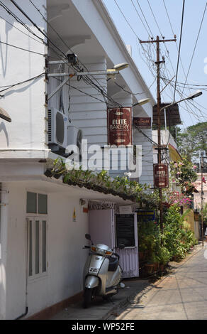 Piante in vaso, Cochin, Kerala, India Foto Stock