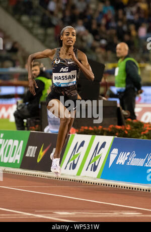 Bruxelles, Belgio. 07Th Sep, 2019. Sifan Hassan (NED) in azione durante la IAAF Diamond League atletica al King Baudouin Stadium di Bruxelles. Credito: SOPA Immagini limitata/Alamy Live News Foto Stock