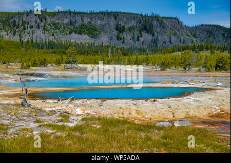 Opale nero piscina nel parco nazionale di Yellowstone, STATI UNITI D'AMERICA. Foto Stock