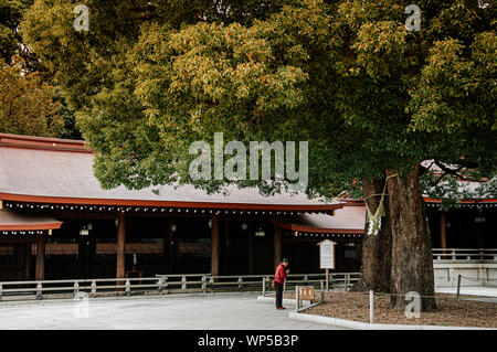 Dic 5, 2018 Tokyo, Giappone - Meiji Jingu storica vecchia albero sacro con Shimenawa corda e turisti asiatici di pregare per la buona fortuna - la più importante s Foto Stock