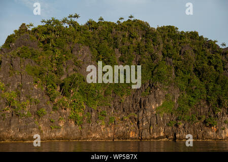 Pinnacolo calcareo isola, Raja Ampat, Papua occidentale, in Indonesia Foto Stock
