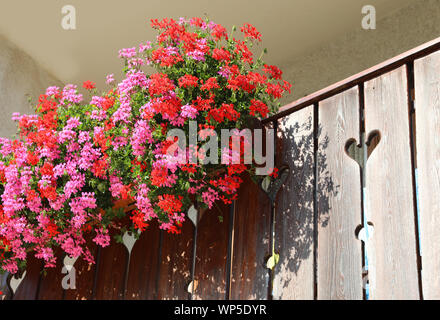 Balcone con molti vasi di gerani in estate Foto Stock