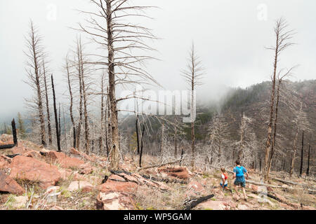 Guide di scorrimento si scende a sud di picco di Boulder attraverso le parti di ricambio del 2012 Flagstaff Fire, Boulder, Colorado. Foto Stock