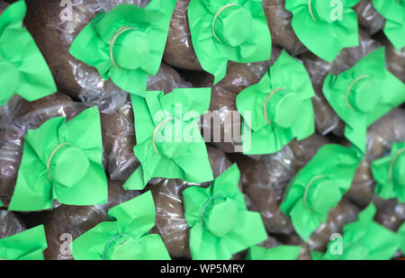 Spore di funghi sacchetti in coltivazione di funghi le aziende agricole Foto Stock