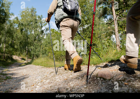 Uomo attivo con bastoncini da trekking e zaino si sta spostando verso il basso la strada forestale Foto Stock