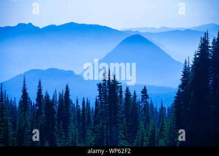 Fumoso vista panoramica delle gamme della montagna in Mt. Rainier National Park, Washington, Stati Uniti d'America. Foto Stock
