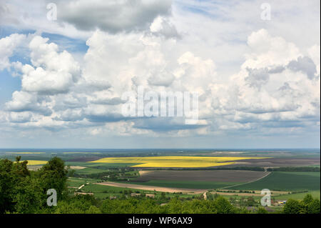 Erba verde campo su piccole colline e cielo blu con nuvole Foto Stock