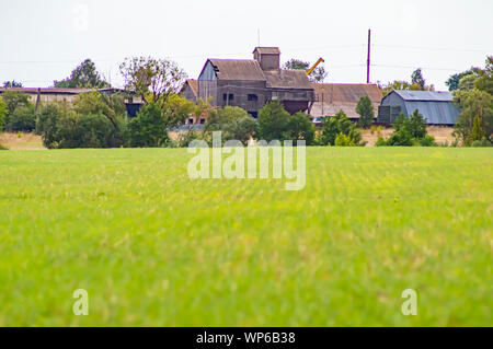 Fattoria sull'orizzonte di un campo verde. L'agricoltura. Foto Stock