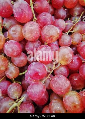 Decine di uve rosse CLOSEUP MACRO SHOT Foto Stock