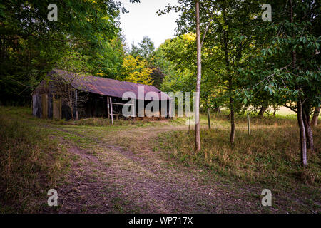 Un vecchio fienile degradato nel bosco Foto Stock