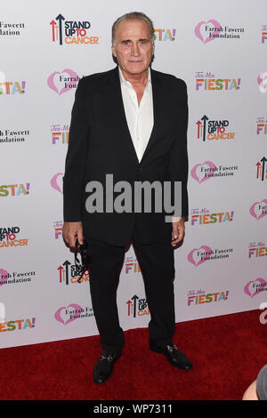 Beverly Hills, Stati Uniti d'America. 06 Sep, 2019. Joe Cortez assiste al Farrah Fawcett Foundation "Tex-Mex Fiesta' onorare Marcia Cross a Wallis Annenberg Center for the Performing Arts di Beverly Hills, in California, il 6 settembre 2019. Credito: la foto di accesso/Alamy Live News Foto Stock