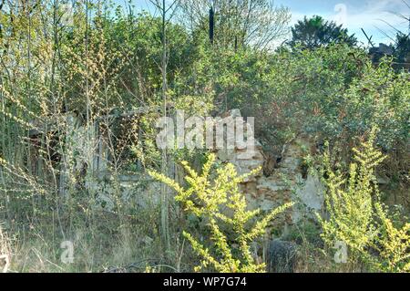 Parigi, Nogent-sur-Marne, il Bois de Vincennes, Jardin d'Agronomie Tropicale Foto Stock