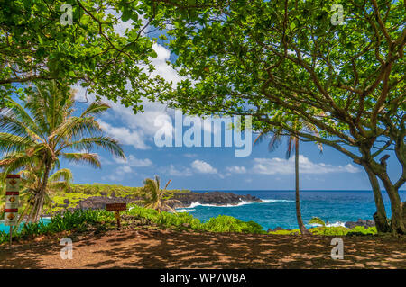 Onde che si infrangono sulle rocce in una giornata di sole durante una vista spettacolare dell'oceano sulla strada di Maui, Hawaii, STATI UNITI D'AMERICA Foto Stock