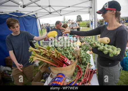 (190907) -- DELTA (Canada), Sett. 7, 2019 (Xinhua) -- Un visitatore negozi per alcuni ortaggi freschi durante il 'Day presso la fattoria " fiera agricola a Isola Westham Herb Farm nel Delta, Canada, sul Sett. 7, 2019. L annuale 'Day presso la fattoria " fiera agricola ha dato dei calci a fuori di sabato, dotate di agricole diverse attività interattive per educare le comunità circa la natura e l'importanza dell'agricoltura e non di mercato servizi ambientali. (Foto di Liang Sen/Xinhua) Foto Stock