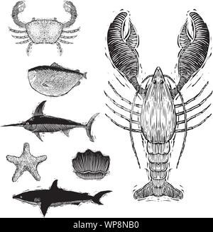 Xilografia-style illustrazioni di diverse creature del mare. Illustrazione Vettoriale