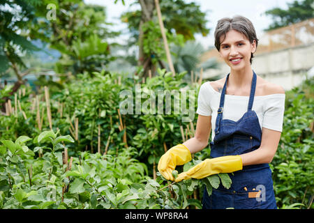 Sorridenti donna nei guanti di gomma che mostra un frutto che crebbe su Bush stava facendo cafe di Foto Stock