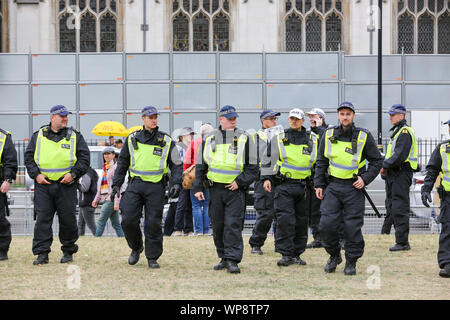 Londra, Regno Unito. 07Th Sep, 2019. Gran numero di agenti di polizia stand alert durante la protesta Pro-Brexit presso la piazza del parlamento di Westminster a Londra. Credito: SOPA Immagini limitata/Alamy Live News Foto Stock