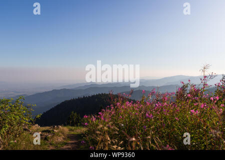 Paesaggio panoramico di montagna. Vista sulla Foresta Nera in Germania Foto Stock