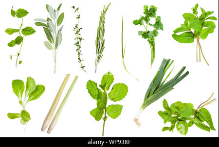 Varie freschi ramoscelli di verdure commestibili isolati su sfondo bianco Foto Stock