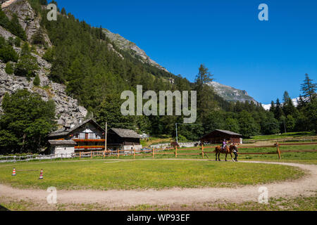 Scorci di Gressoney, Aosta, Valle d'Aosta, Italia Foto Stock