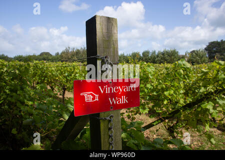 Un rosso segno di direzione con una mano il simbolo che indica la via verso un "vigna a piedi" presso la Mare Wine Estate in St Mary, Jersey, Isole del Canale. Foto Stock