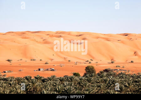 Insediamento beduino con cammelli e capre nel Wahiba Sands, deserto in Oman Foto Stock