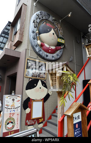 Cat Café - Kamakura - Giappone Foto Stock
