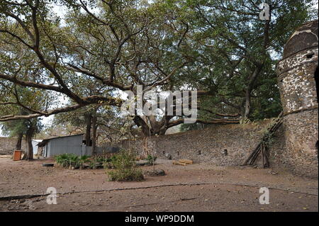 Il bagno di Fasilides di Gondar Foto Stock