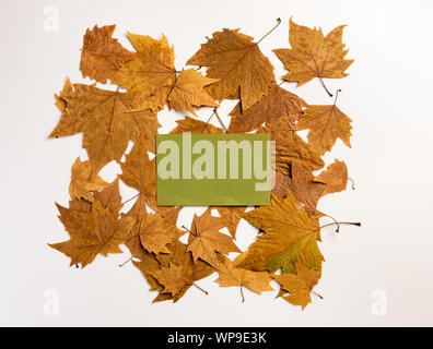Notebook decorato Foglie di autunno isolato su bianco. Lay piatto Foto Stock