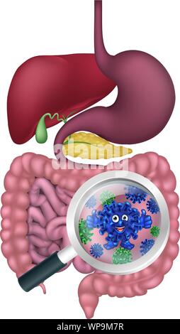 Batteri mascotte cartoon nell intestino o intestino Illustrazione Vettoriale
