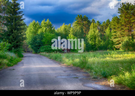 Piccolo cottage immerso tra verde degli alberi nel bosco con un'apertura campo erboso e strada in primo piano in un paesaggio panoramico Foto Stock