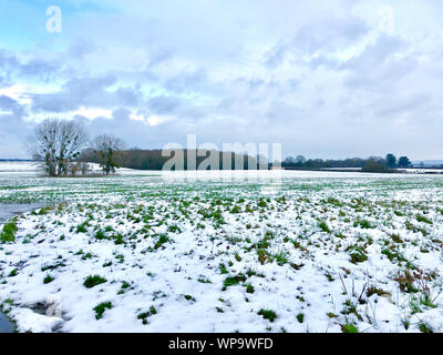 I campi agricoli coperti di neve mostra una scena wintery in Drayton Somerset Inghilterra Foto Stock