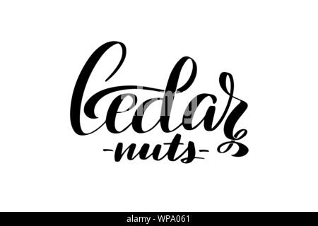 Ispiratore della spazzola manoscritta scritte . Vettore illustrazione di calligrafia Illustrazione Vettoriale