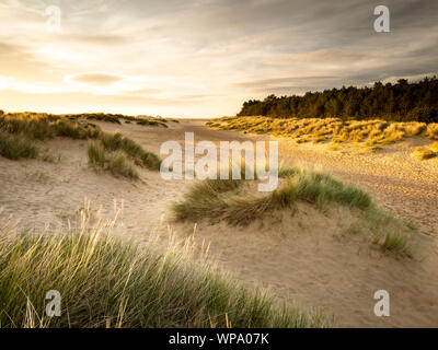 Guardando verso pozzetti dalla banca di dune alla prima luce. Foto Stock