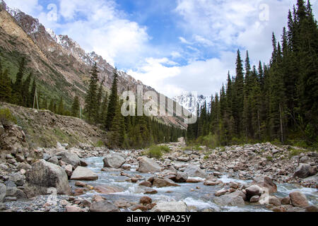 Vista di un fiume di montagna tra colline coperte di foreste di conifere contro il cielo con le nuvole. Borskaun gorge. Kirghizistan Foto Stock