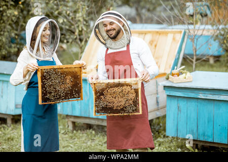 Gli apicoltori in protective cappelli e grembiuli lavora con favi sull'apiario con alveari in legno sullo sfondo Foto Stock