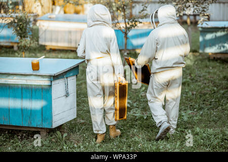 Due gli apicoltori in uniforme di protezione a piedi con favi mentre si lavora su una tradizionale apiario. Vista posteriore Foto Stock