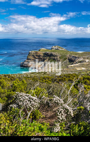 Capo di Buona Speranza, Cape Peninsula, Western Cape, Sud Africa Foto Stock