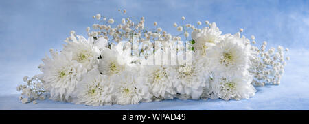 Panoramica di immagini di fiori. Rosa, Gerbera, Astra Foto Stock