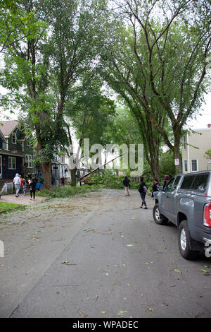 Kline Street, Halifax, Nova Scotia- 8 Settembre 2019- uno dei peggiori spot hit dopo l uragano Dorian sulla kline Street sulla penisola dopo hurric Foto Stock