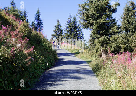 Kitzbühel im Sommer Wanderweg Foto Stock