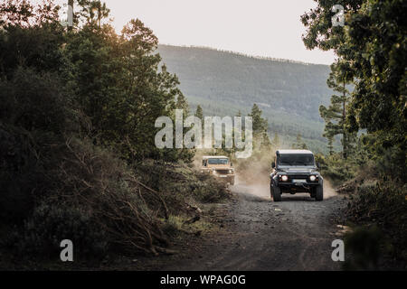 Gli amici il pilotaggio di due 4x4 durante il tramonto nella foresta Foto Stock