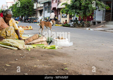 Una vecchia signora la configurazione del suo negozio sul ciglio della strada vicino a strade di Srirangam Ranganathar tempio di Tamilnadu, India Foto Stock