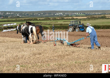 Team di 2 cavalli di Cobb arare il terreno in Gower Match di aratura. Le pratiche agricole tradizionali sono in grado di preservare la salute del suolo, con minor compattazione. Foto Stock